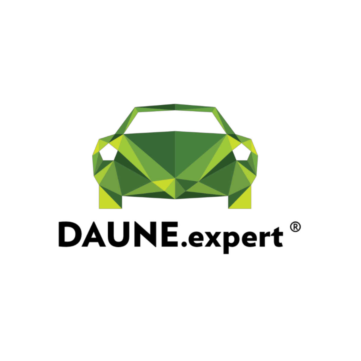 Logo Daune Expert